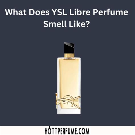 scents similar to ysl libre|what does ysl smell like.